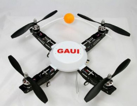 Gaui 330X-S 210001 Quad Flyer